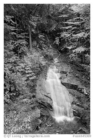 Avalanche Falls, Franconia Notch State Park. New Hampshire, USA (black and white)
