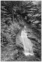 Avalanche Falls, Franconia Notch State Park. New Hampshire, USA ( black and white)
