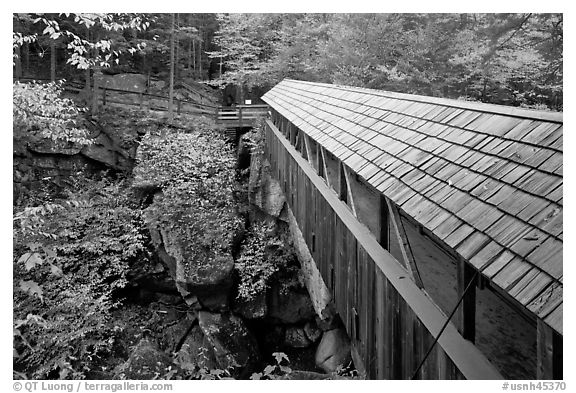 Sentinel Pine covered bridge, Franconia Notch State Park. New Hampshire, USA (black and white)