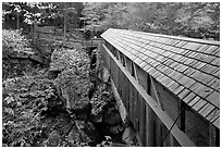 Sentinel Pine covered bridge, Franconia Notch State Park. New Hampshire, USA ( black and white)