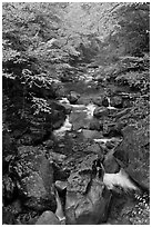 Cascading river in autumn, Franconia Notch State Park. New Hampshire, USA (black and white)