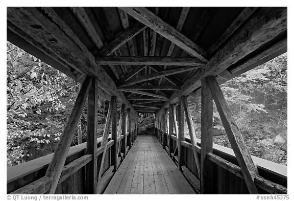 Covered bridge seen from inside, Franconia Notch State Park. New Hampshire, USA (black and white)