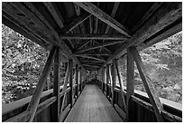 Covered bridge seen from inside, Franconia Notch State Park. New Hampshire, USA ( black and white)