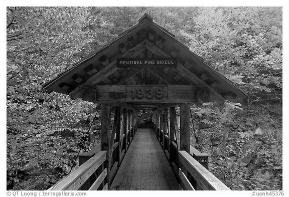 Covered footbridge in autumn, Franconia Notch State Park. New Hampshire, USA