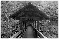 Covered footbridge in autumn, Franconia Notch State Park. New Hampshire, USA ( black and white)