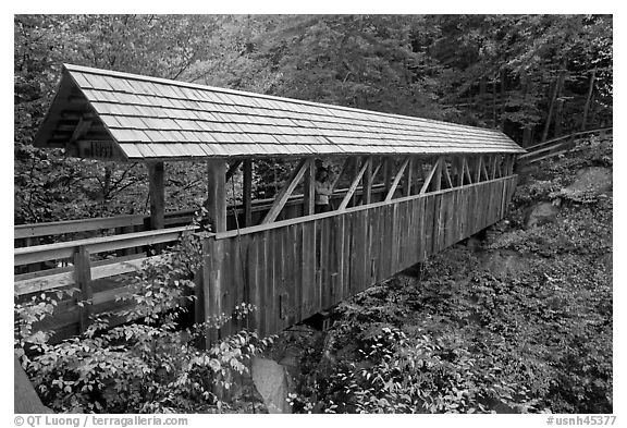 Wooden covered bridge in the fall, Franconia Notch State Park. New Hampshire, USA (black and white)