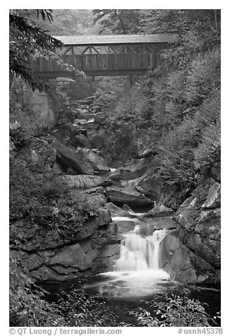 Covered bridge high above creek, Franconia Notch State Park. New Hampshire, USA (black and white)