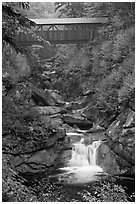 Covered bridge high above creek, Franconia Notch State Park. New Hampshire, USA (black and white)