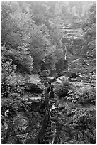 Waterfall, Crawford Notch State Park, White Mountain National Forest. New Hampshire, USA ( black and white)