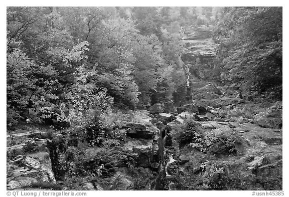 Cascading waterfall and autumn colors, Crawford Notch State Park. New Hampshire, USA (black and white)