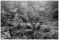 Cascading waterfall and autumn colors, Crawford Notch State Park. New Hampshire, USA ( black and white)