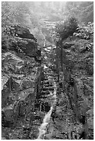 Silver Cascade in Autumn, Crawford Notch State Park. New Hampshire, USA ( black and white)