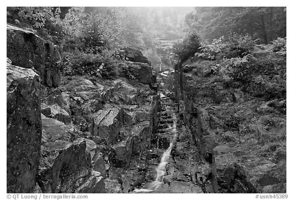 Silver Cascade in the fall, White Mountain National Forest. New Hampshire, USA (black and white)