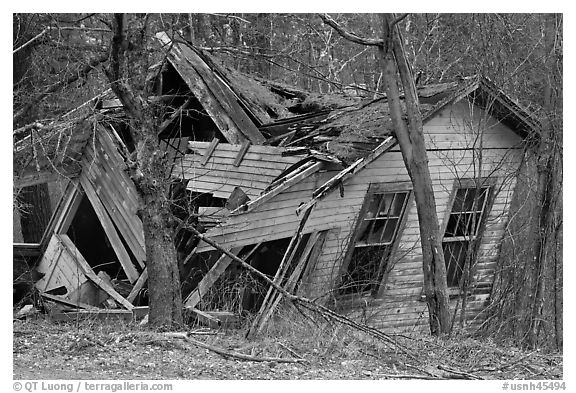 Ruined house in forest. New Hampshire, USA (black and white)