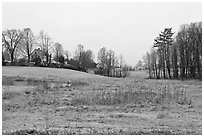 Rural scenery. Walpole, New Hampshire, USA (black and white)