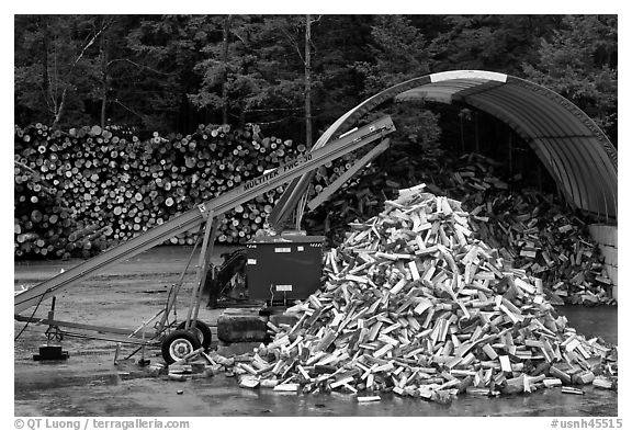 Pile of timber logs. New Hampshire, USA (black and white)