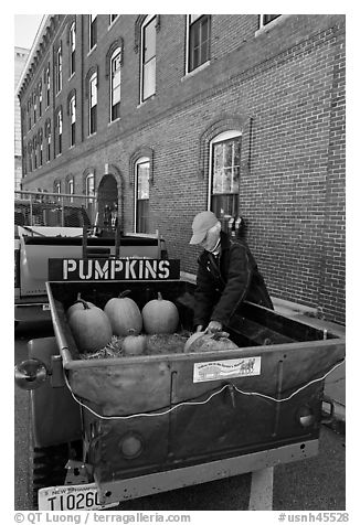 Farmers market. Concord, New Hampshire, USA (black and white)