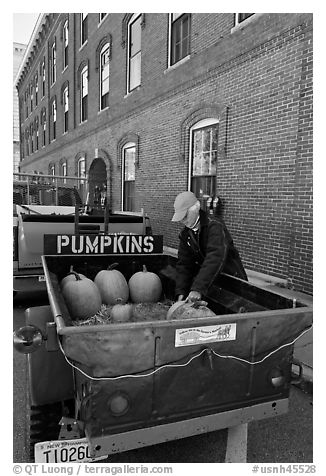 Farmers market. Concord, New Hampshire, USA