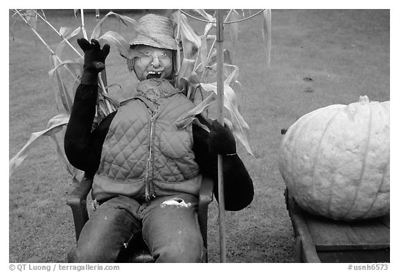 Scarecrow. New Hampshire, USA (black and white)