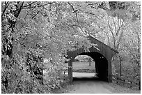 Covered bridge in autumn, Bath. New Hampshire, USA (black and white)