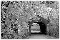 Covered bridge, Bath. New Hampshire, New England, USA ( black and white)