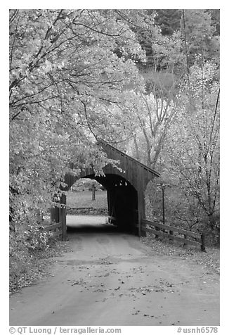 Covered bridge in the fall, Bath. New Hampshire, USA (black and white)