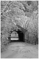 Covered bridge, Bath. New Hampshire, New England, USA ( black and white)