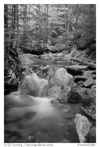 Stream in fall, Franconia Notch State Park. New Hampshire, USA (black and white)
