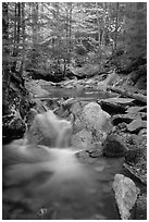 Stream in fall, Franconia Notch State Park. New Hampshire, USA ( black and white)