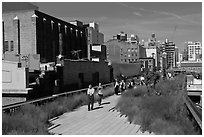People strolling the High Line. NYC, New York, USA ( black and white)