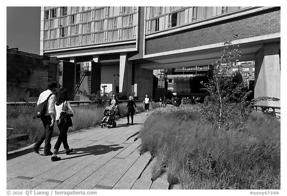 Walking the High Line. NYC, New York, USA