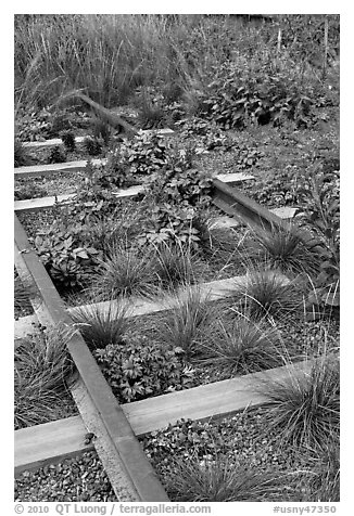 Retired railroad tracks, the High Line. NYC, New York, USA (black and white)