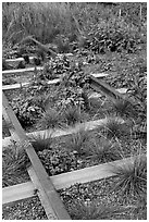 Retired railroad tracks, the High Line. NYC, New York, USA (black and white)