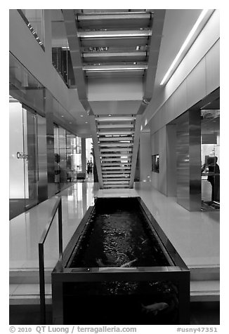 Staircase and pool, Bloomberg building. NYC, New York, USA (black and white)
