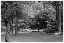 Lawn, trees, and flowers, Central Park. NYC, New York, USA (black and white)