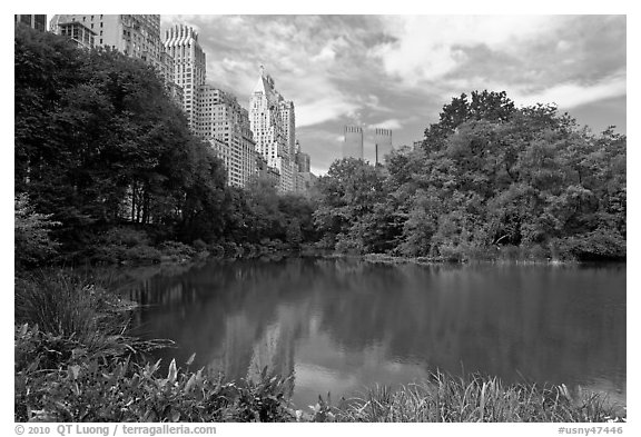 Pond and high-rise buildings, Central Park. NYC, New York, USA (black and white)