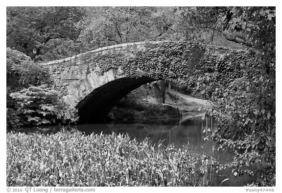 Stone bridge, Central Park. NYC, New York, USA (black and white)