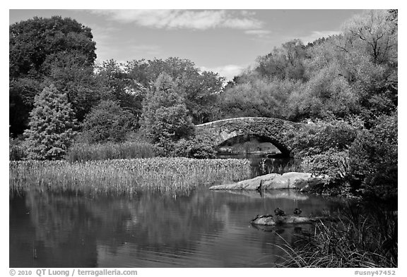 Pond and stone bridge, Central Park. NYC, New York, USA