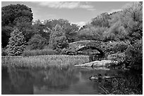 Pond and stone bridge, Central Park. NYC, New York, USA (black and white)