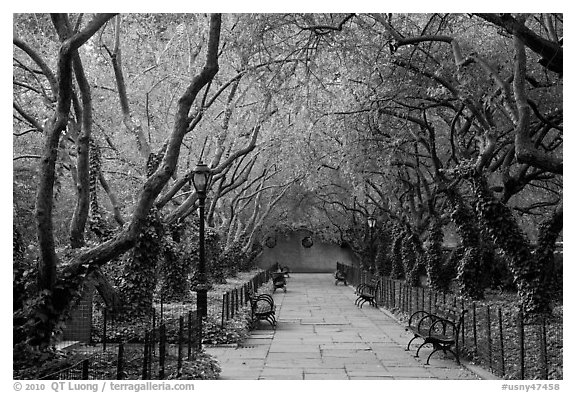 Crabapple Allees, Conservatory Garden. NYC, New York, USA (black and white)