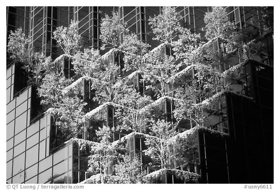 Hanging gardens on Trump Tower. NYC, New York, USA (black and white)