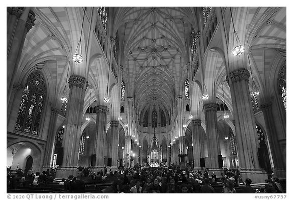 Interior of St Patricks Cathedral. NYC, New York, USA (black and white)
