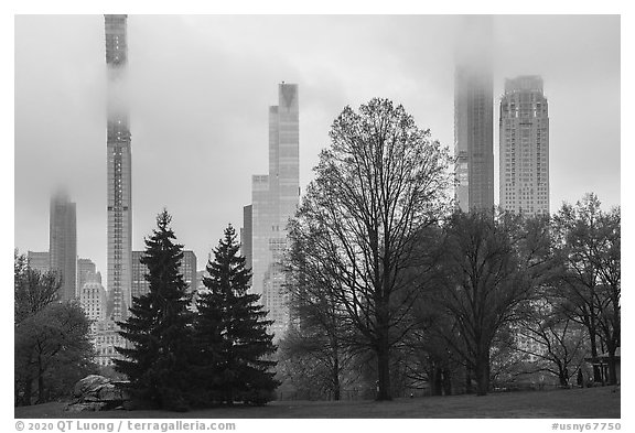 Skyscrappers towering above Central Park. NYC, New York, USA