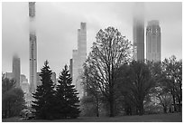 Skyscrappers towering above Central Park. NYC, New York, USA ( black and white)
