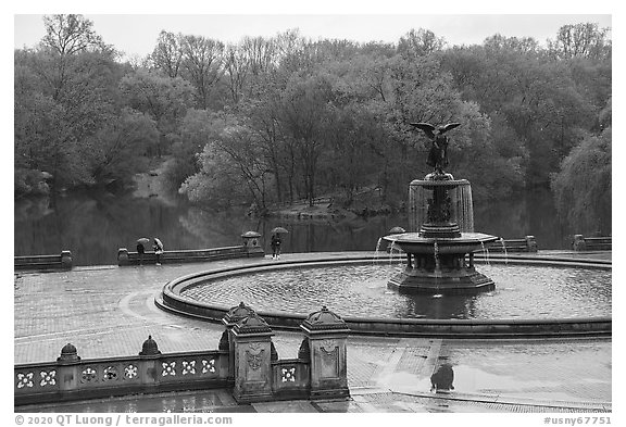 Bethesda Fountain and terrace, Central Park. NYC, New York, USA (black and white)