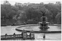Bethesda Fountain and terrace, Central Park. NYC, New York, USA ( black and white)