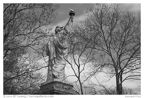 Statue of Liberty from the back between trees, Statue of Liberty National Monument. NYC, New York, USA (black and white)