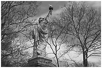 Statue of Liberty from the back between trees, Statue of Liberty National Monument. NYC, New York, USA ( black and white)