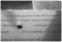 Rose and victim names, September 11 Memorial. NYC, New York, USA ( black and white)