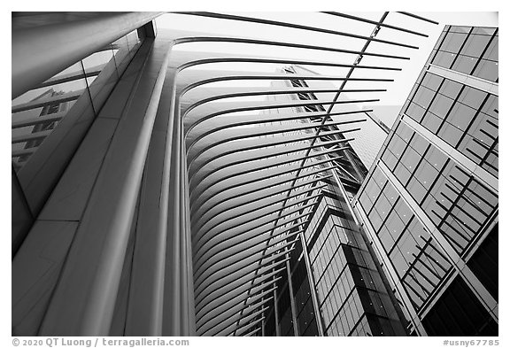 World Trade Center. NYC, New York, USA (black and white)